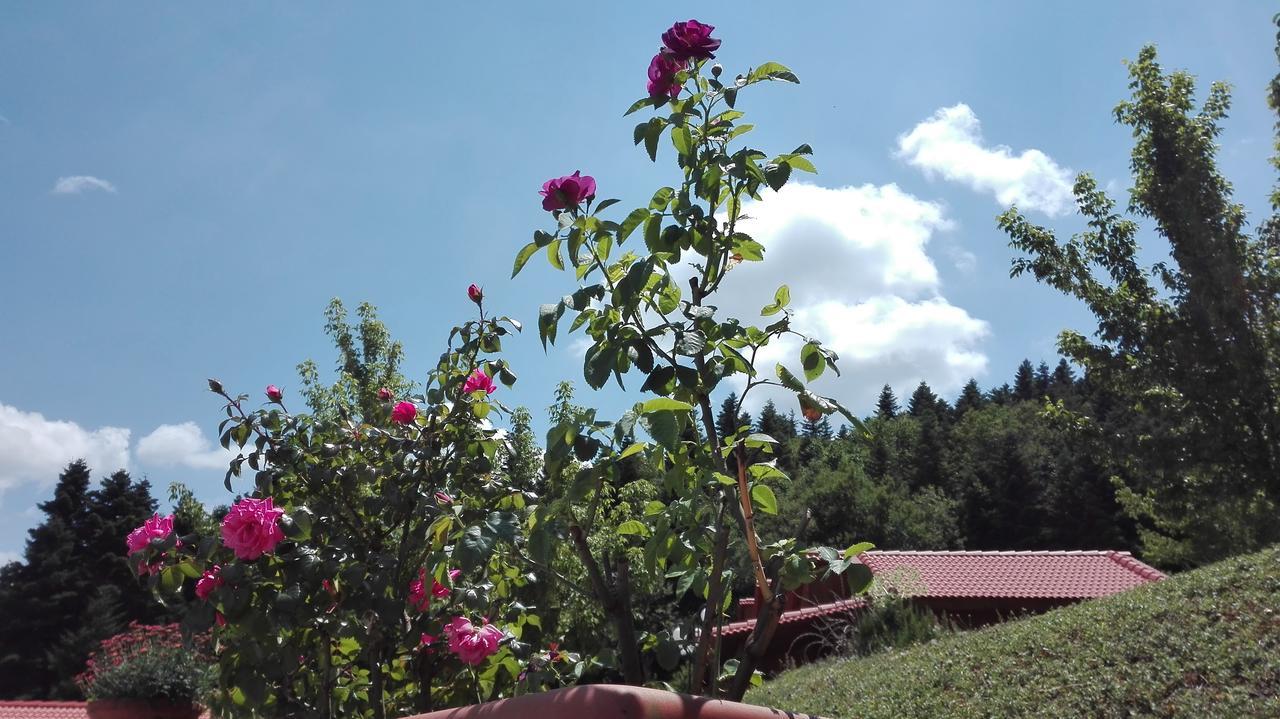 Livadaki Village Megali Kapsi Exterior photo